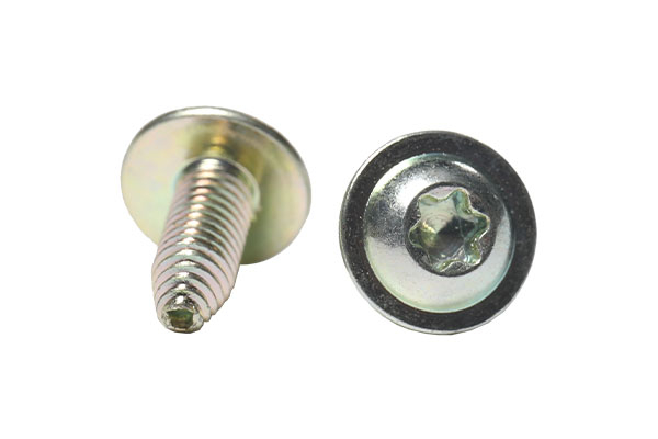 Round head screw with washer