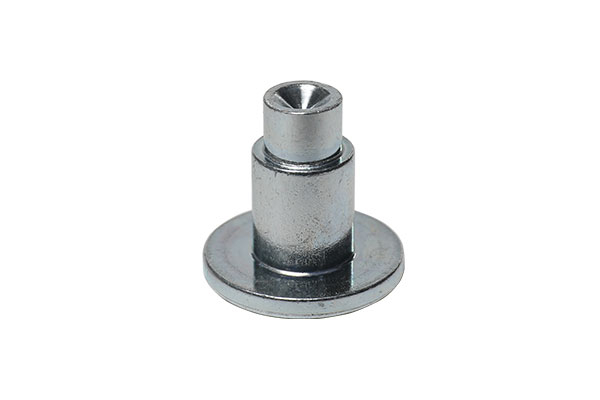 Step rivet